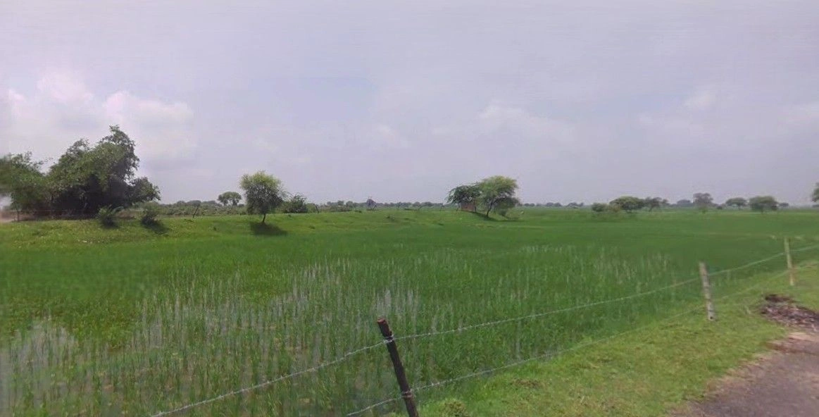 Churiyala, Uttar Pradesh 245206, India preview 2