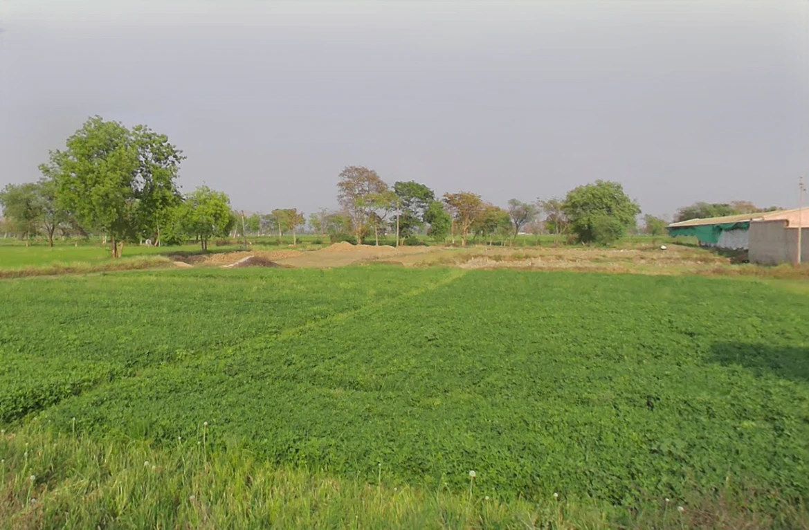 Pinkapar, Chhattisgarh 491661, India
