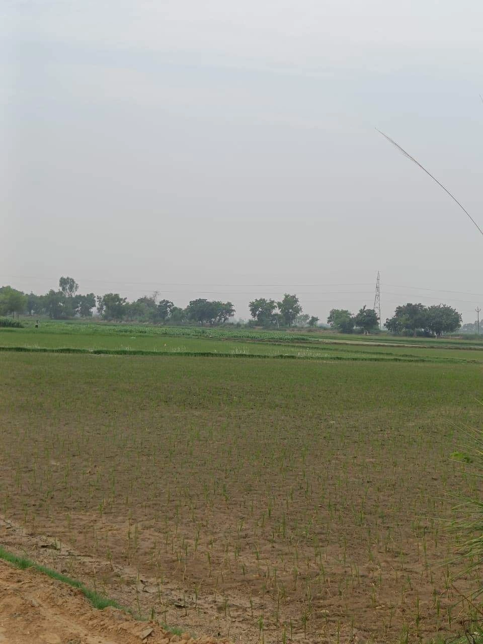 Adampur, Uttar Pradesh, India preview 3