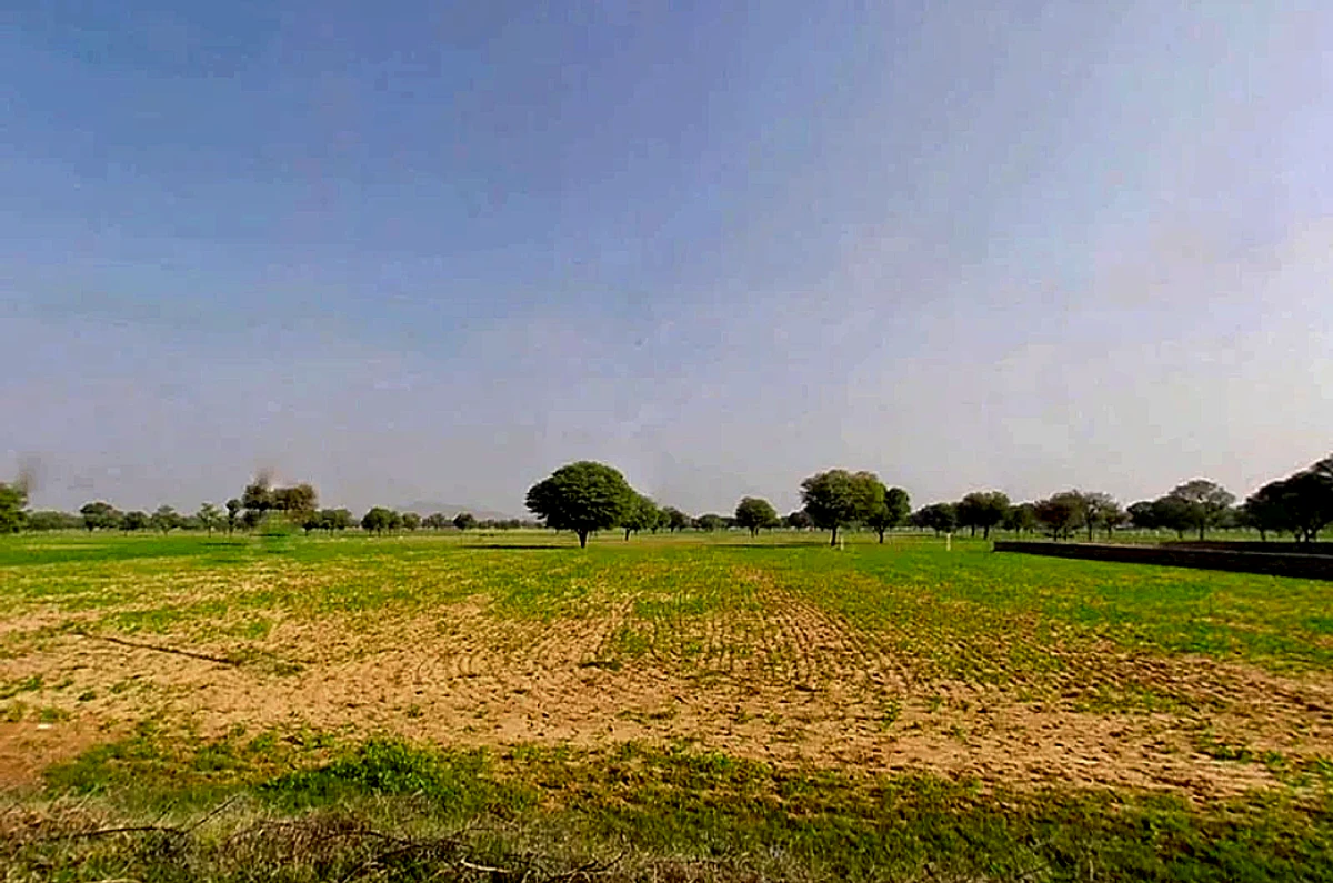 6JXX+2QF, Chomu, Govindgarh, Rajasthan 303712, India
