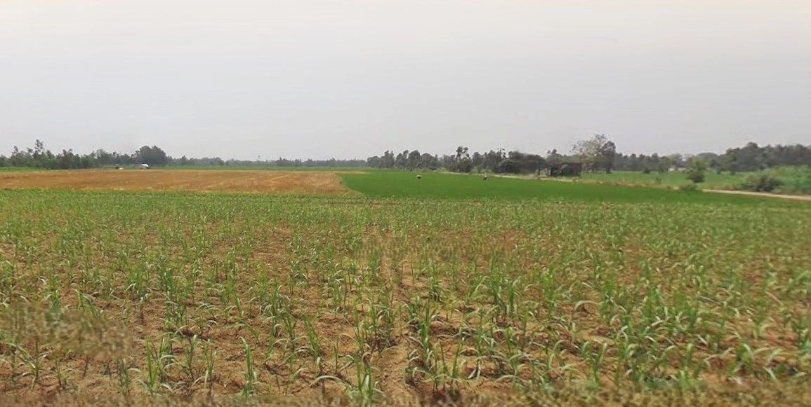 Ramnagar, Uttarakhand 244715, India preview 2