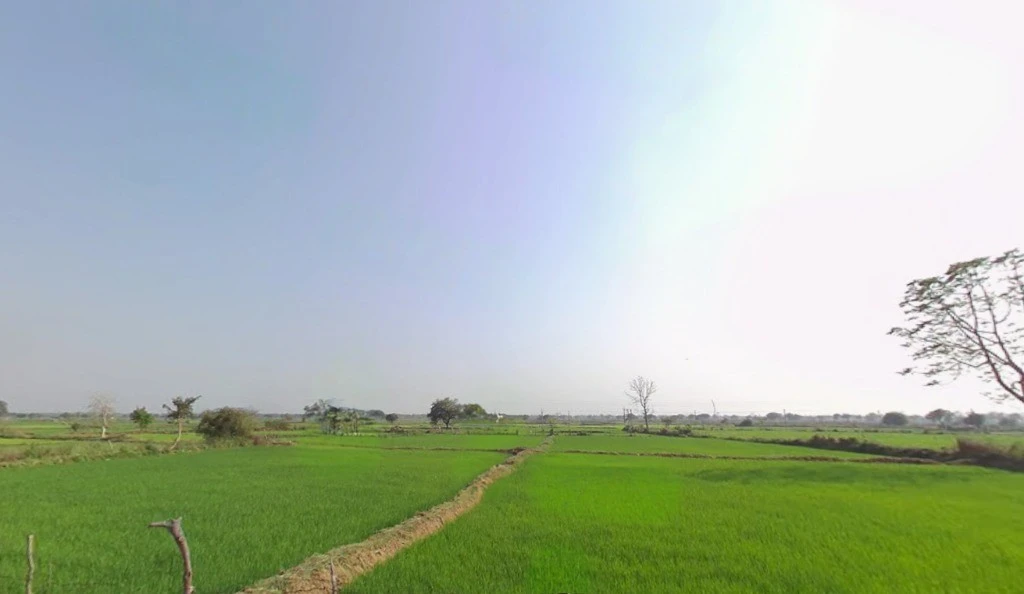 Tendukona, Chhattisgarh 493449, India