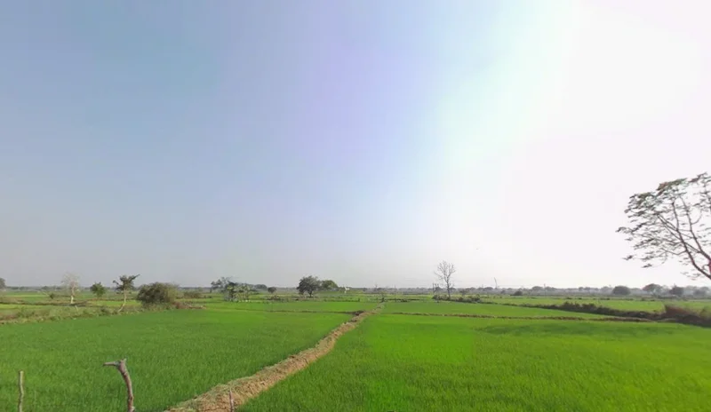 Tendukona, Chhattisgarh 493449, India preview 2