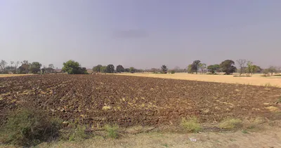 CF6M+QPP, Palkhi, Madhya Pradesh 456335, India preview 3