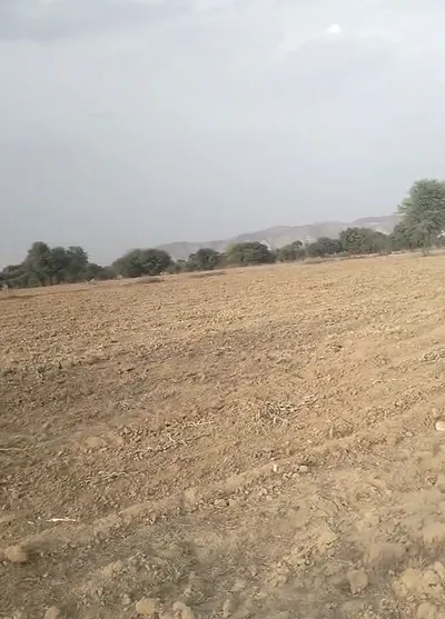 29F3+JJ Kableshwar, Rajasthan, India preview 3