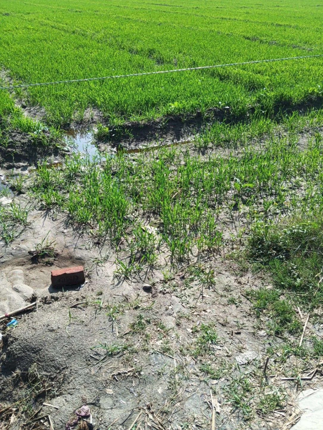 Laksar, Uttarakhand 247663, India preview 2