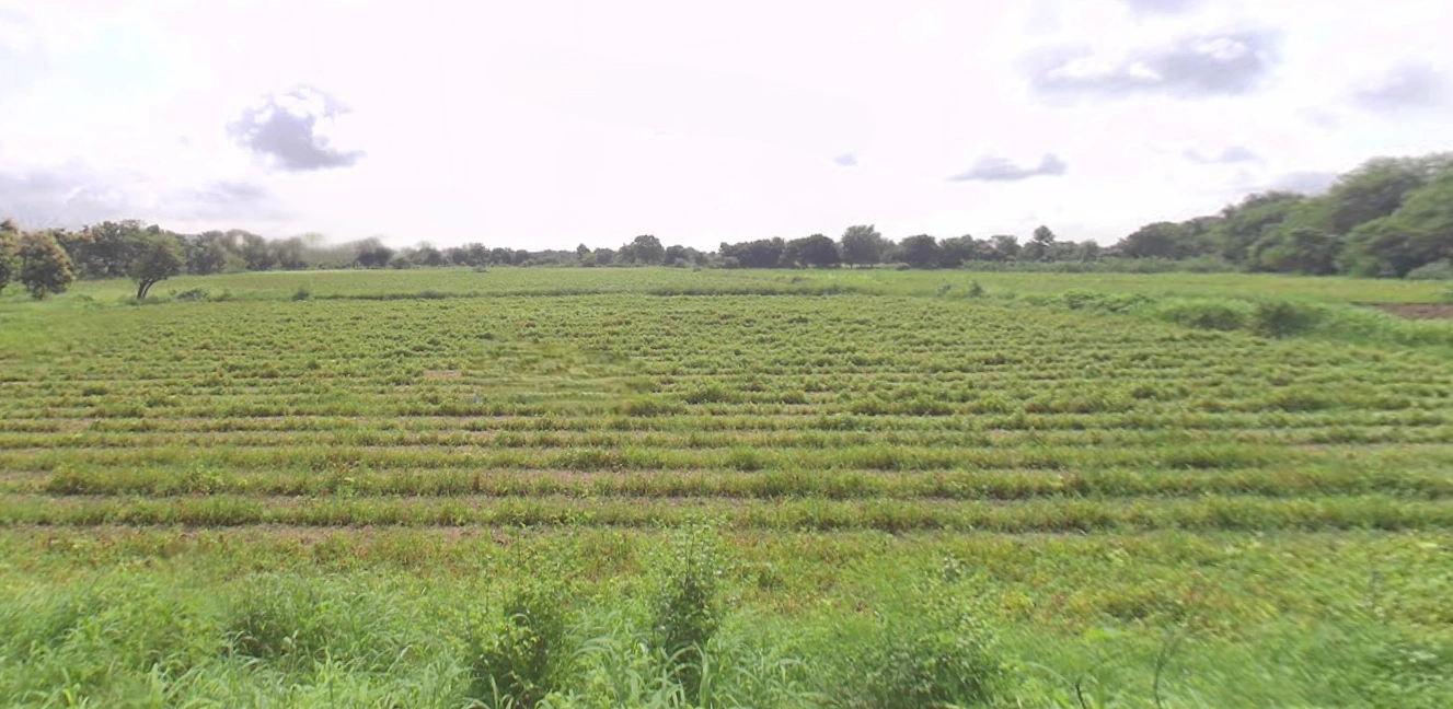 QCHW+2G Vanagla, Gujarat, India