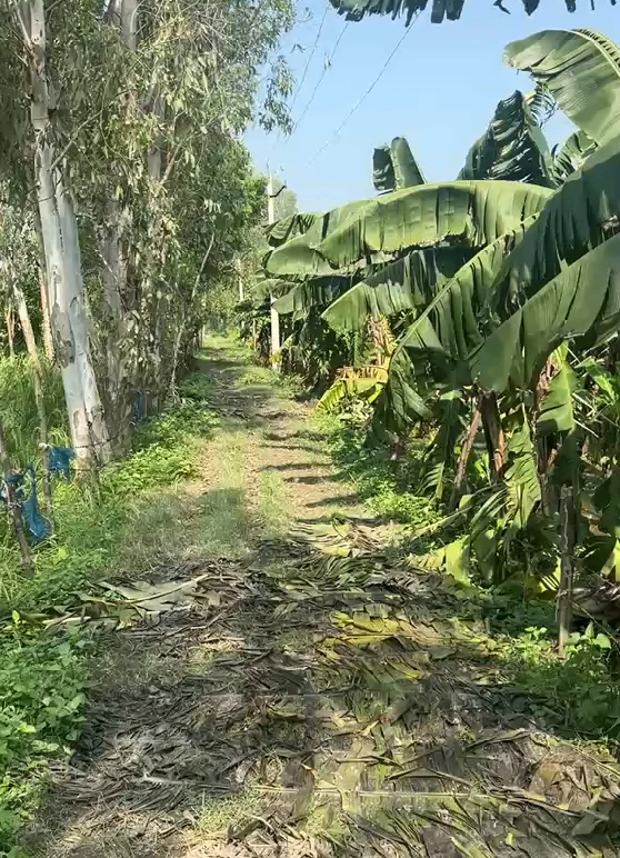 Rudauli, Ayodhya, Uttar Pradesh 224120, India