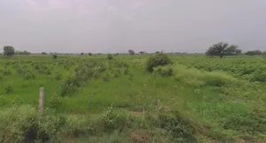 Panagarh, West Bengal 713148, India preview 3