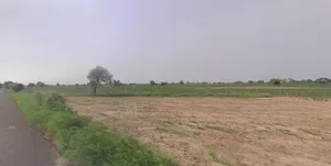 Talit, West Bengal 713104, India preview 3