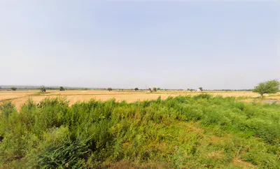 Pali, Haryana, India preview 2