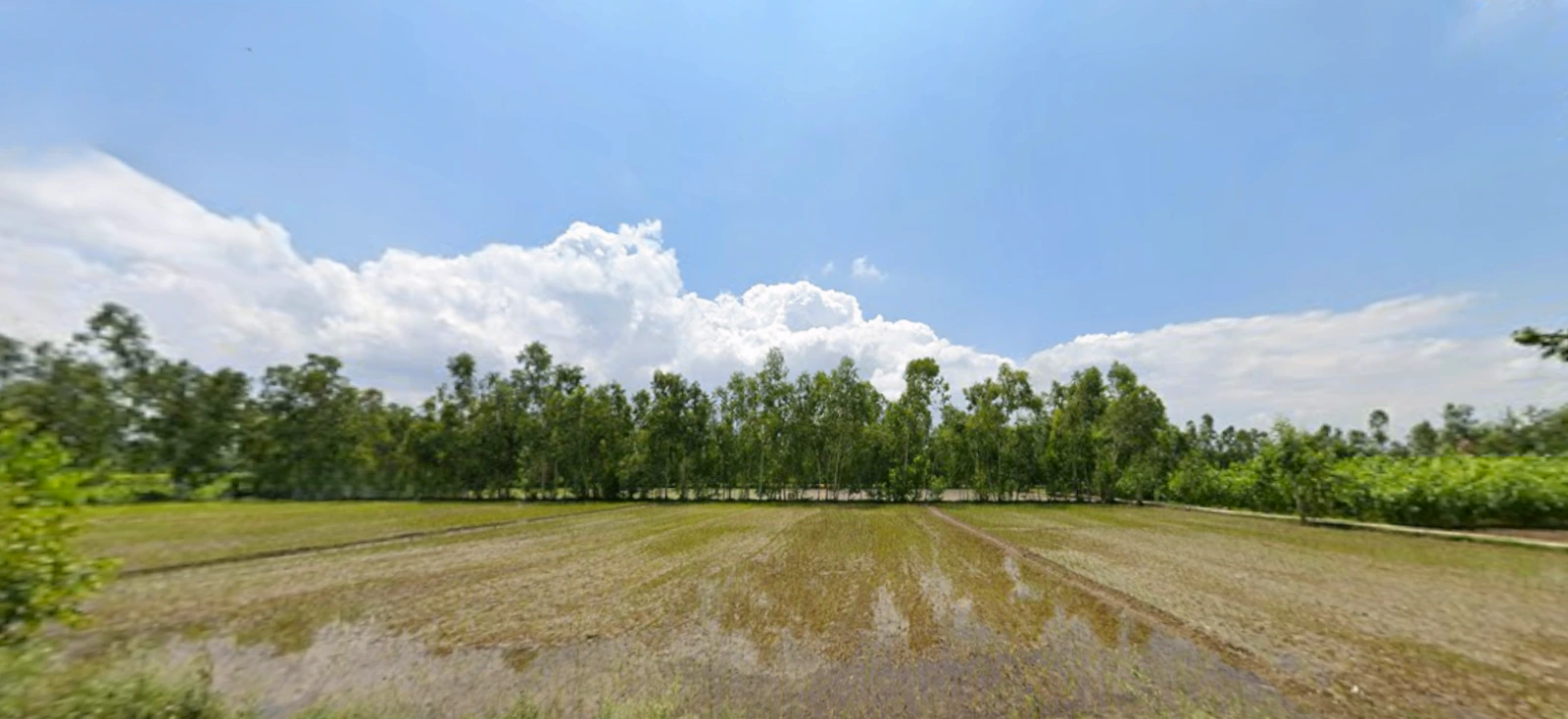 Jamni Pur, Uttarakhand, India