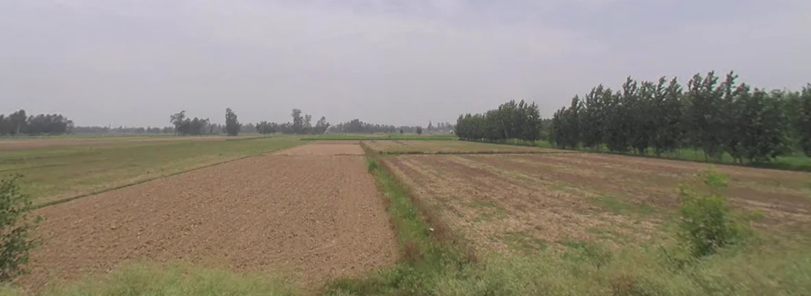 Moradabad Bypass Rd, Gannor Deya Mafi, Uttar Pradesh, India preview 3