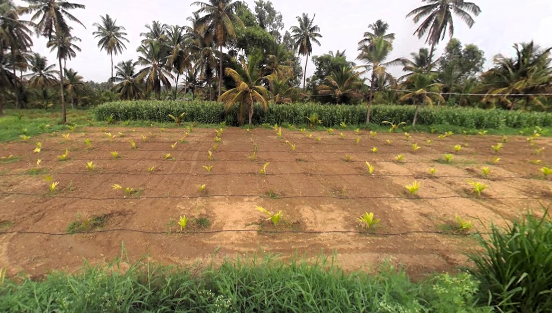 kalenahalli, Karnataka 560089, India