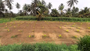 kalenahalli, Karnataka 560089, India preview 3