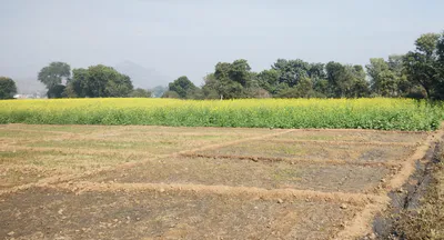 Dakoha, Rama Mandi, Jalandhar, Punjab 144005, India preview 3