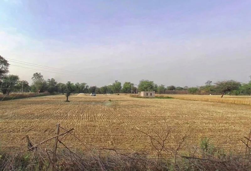 Ranoli, Rajasthan 332403, India preview 3