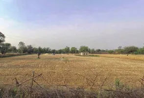 Ranoli, Rajasthan 332403, India preview 3