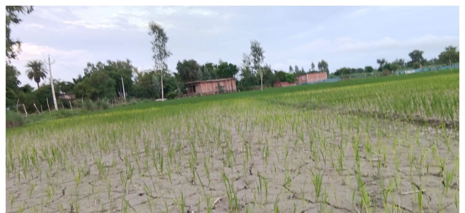 P6R6+23 Mirzapur Urf Samshuddinpur, Ayodhya, Uttar Pradesh, India