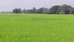 Patan, Madhya Pradesh 483113, India preview 3