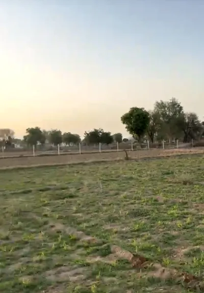 FRG8+RW9, Moonpur, Rajasthan 301408, India preview 2