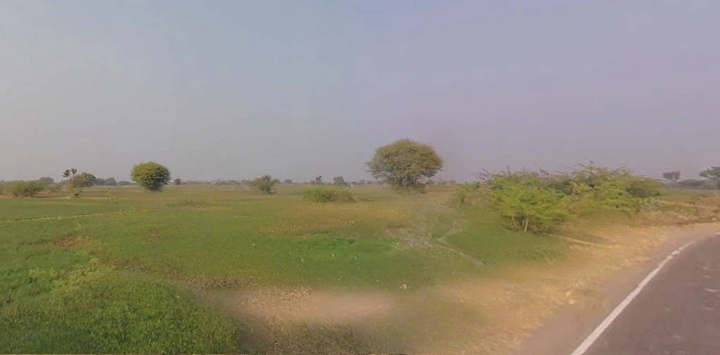 Dholpuriya, Rajasthan 305801, India