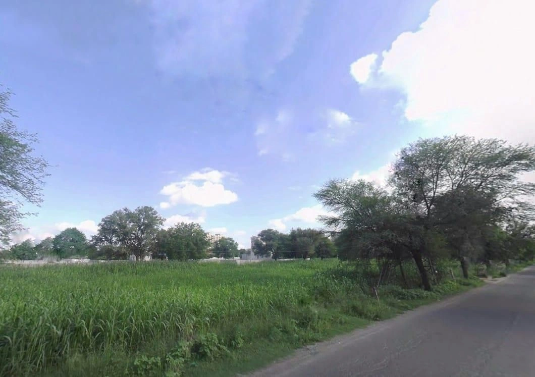 RMH4+JFW, Jhai, Rajasthan, India