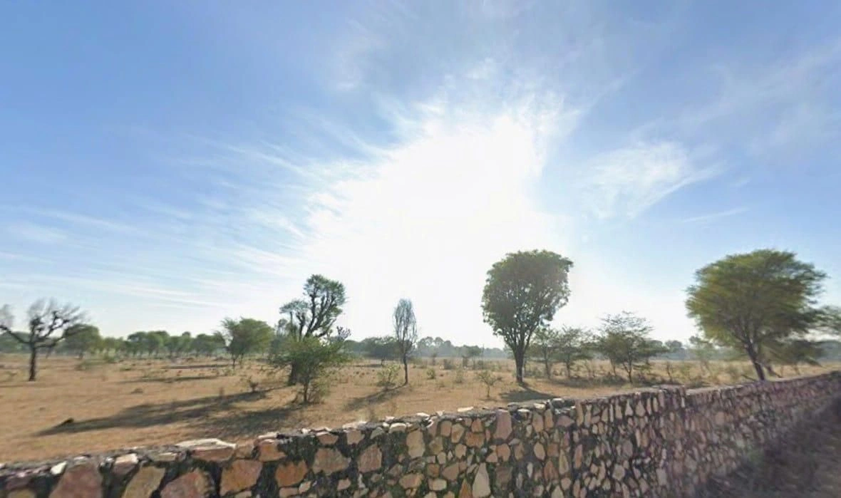 RJQG+X68, Theekariya, Rajasthan, India