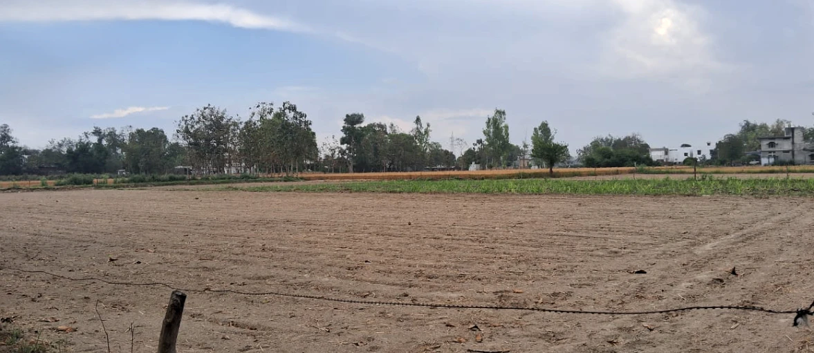 Nakodar, Punjab 144040, India