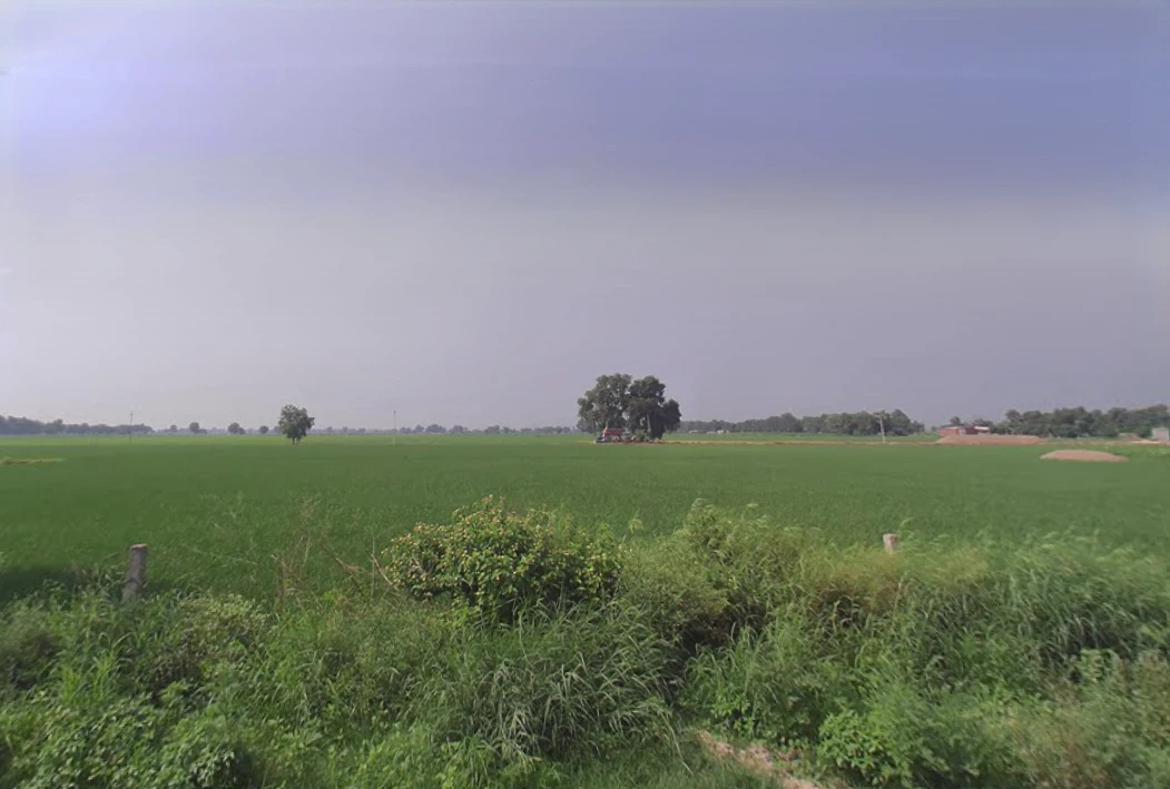 Gillan Khera, Haryana 125050, India