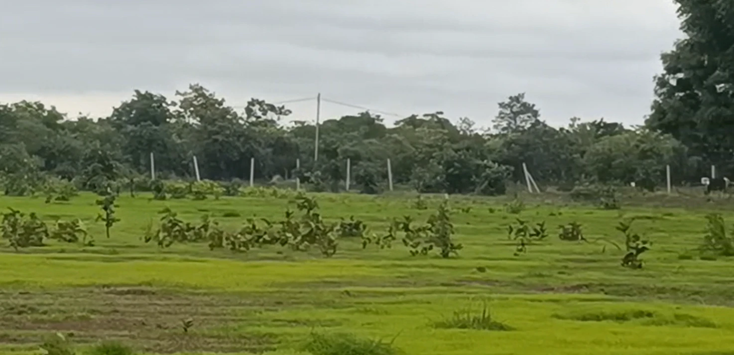 FV2C+94 Durgamcheru, Vikarabad, Telangana, India