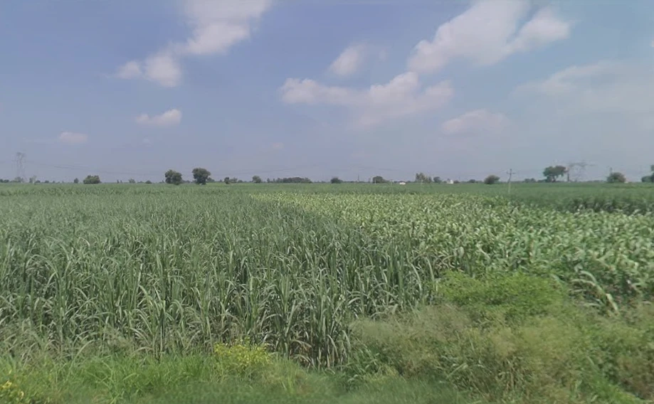 Sarai, Uttar Pradesh 251309, India