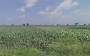 Sarai, Uttar Pradesh 251309, India preview 3