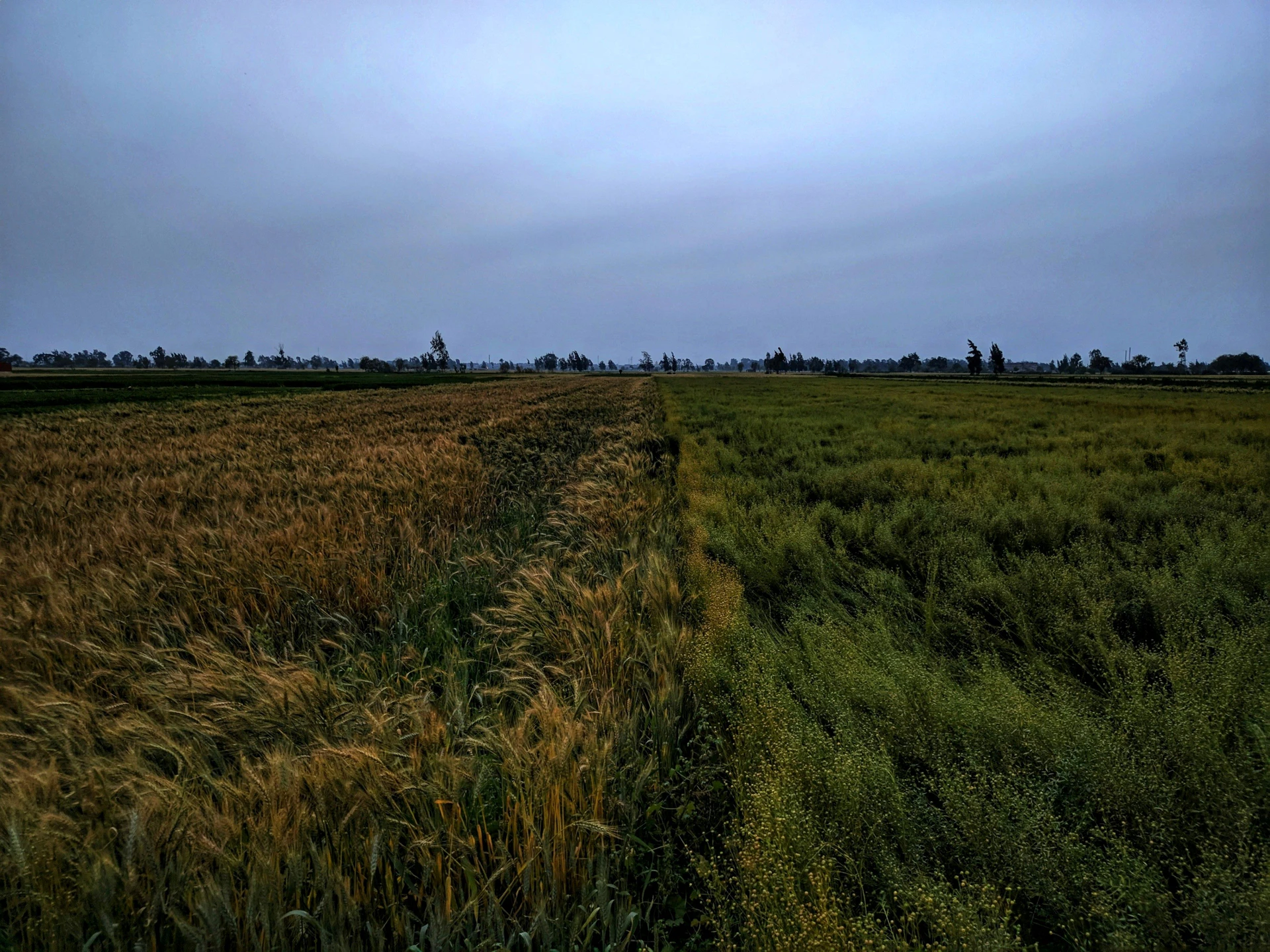 FPV4+R8F, Matsya Industrial Area, Jhareda, Alwar, Rajasthan 301030, India