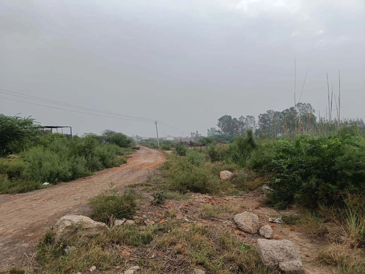 Adampur, Uttar Pradesh, India