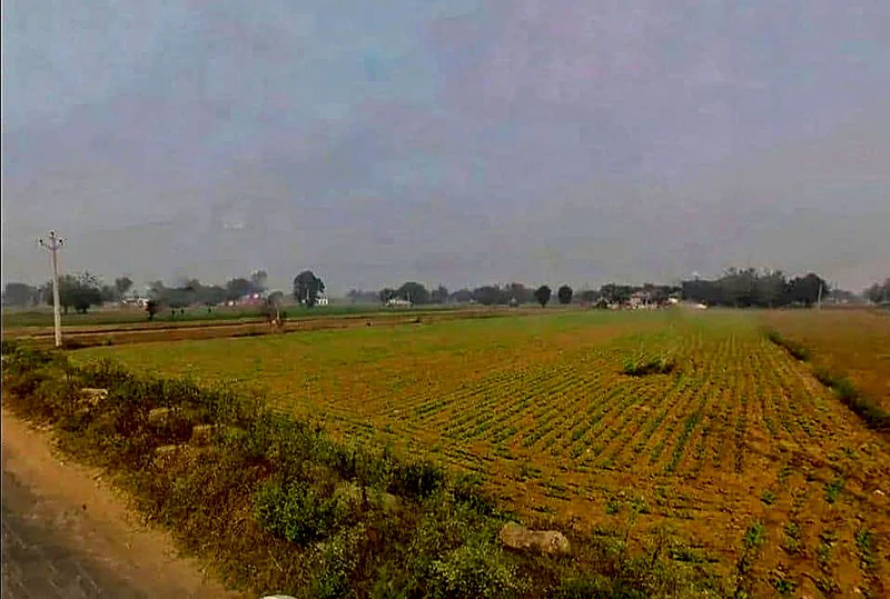 Bikaner - Agra Rd, Govindgarh, Rajasthan 303712, India preview 3