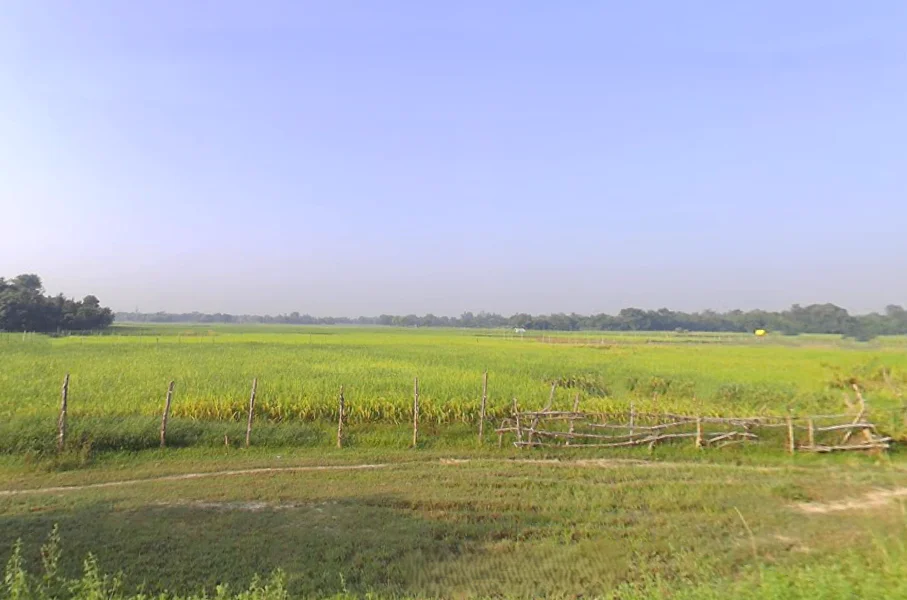 Inayat Nagar, Uttar Pradesh 224228, India preview 2