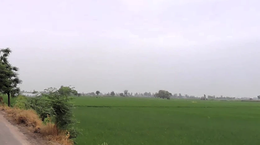 Rajound, Haryana 136044, India