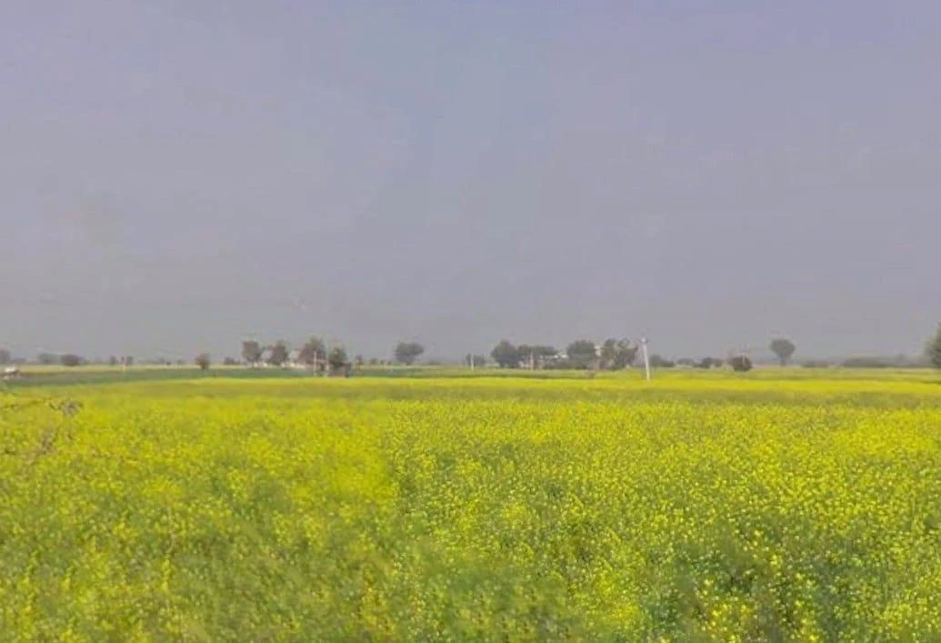 Maujpur, Rajasthan, India