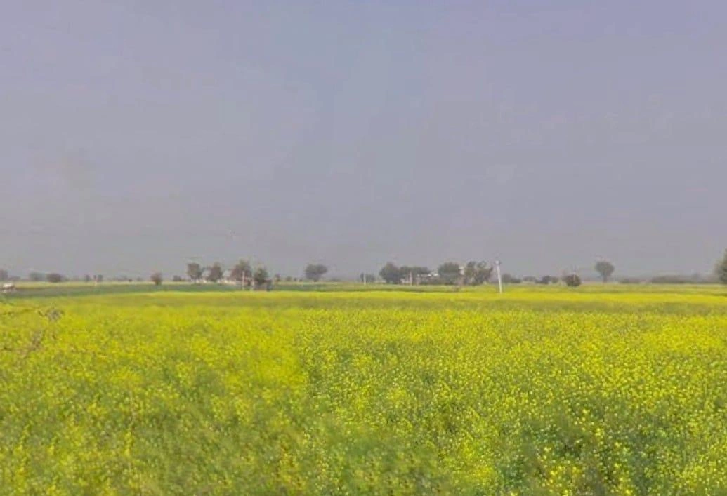 Maujpur, Rajasthan, India