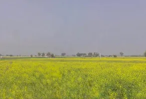 Maujpur, Rajasthan, India preview 3