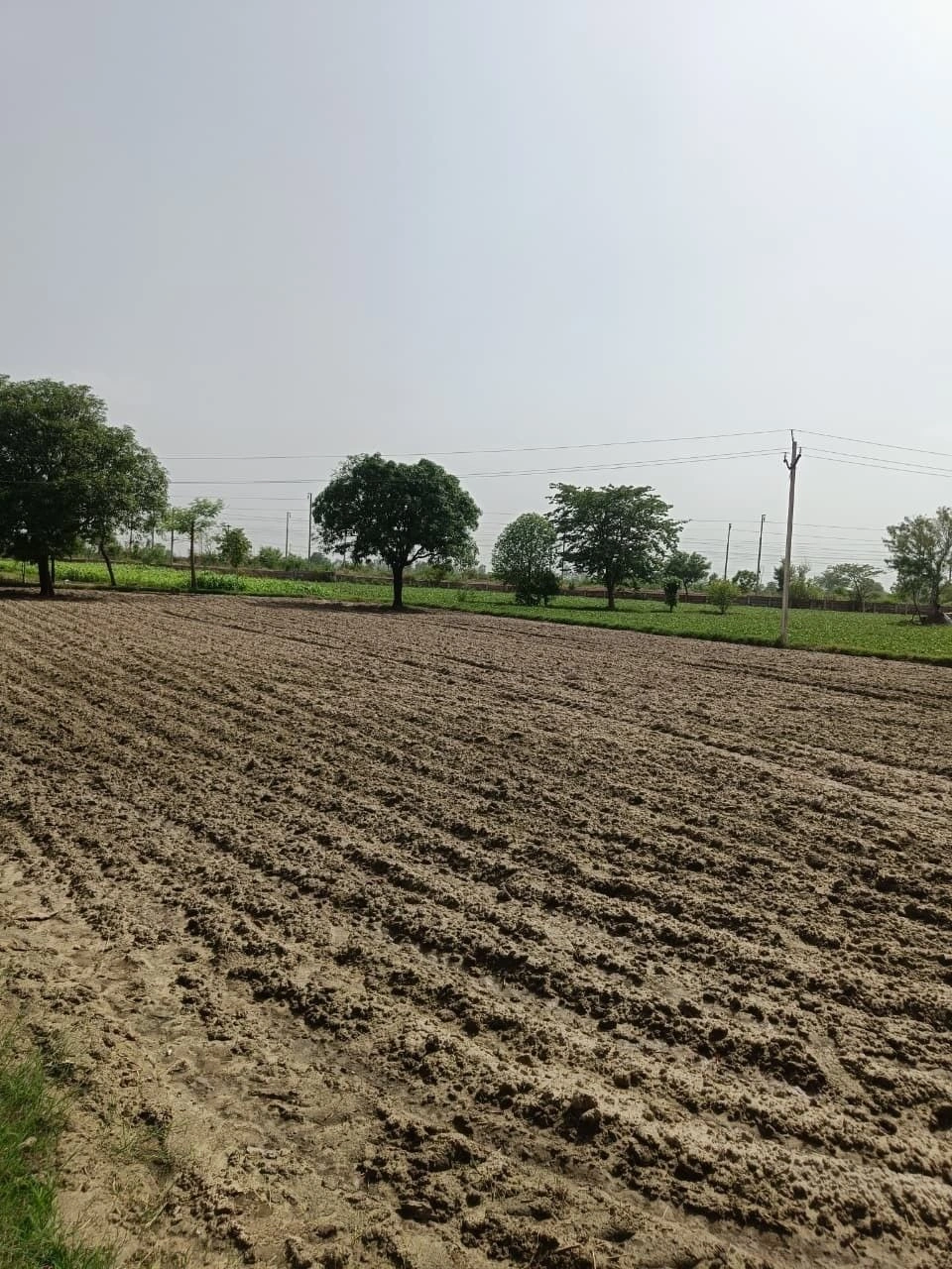 Raiwala, Uttarakhand 249205, India