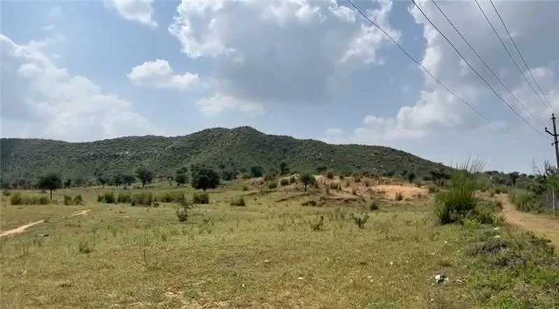 Sangawala, Rajasthan 303002, India