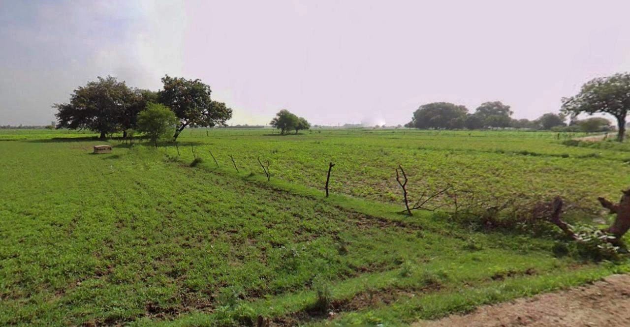 Suratgarh, Rajasthan 335804, India