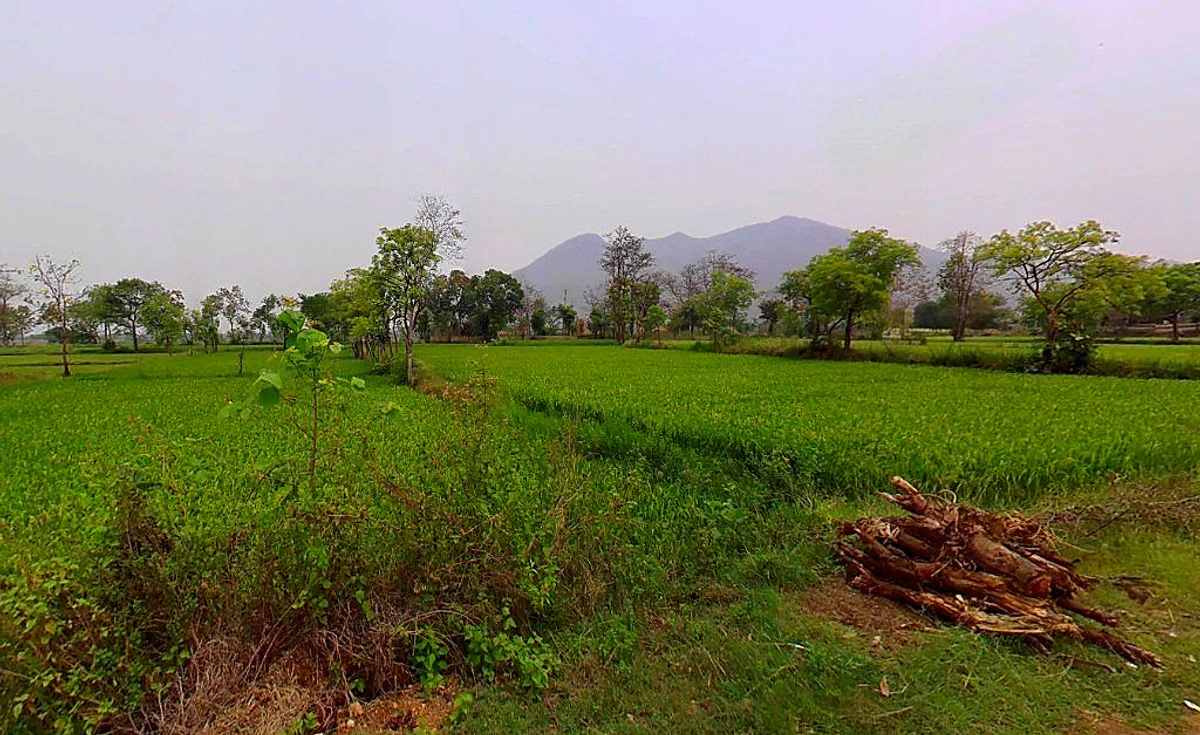 Girhola, Chhattisgarh 493661, India