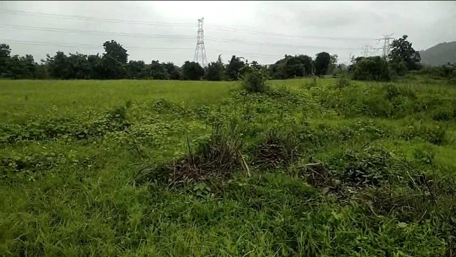 J43H+78G, Palghar, Chikhale, Maharashtra 421312, India