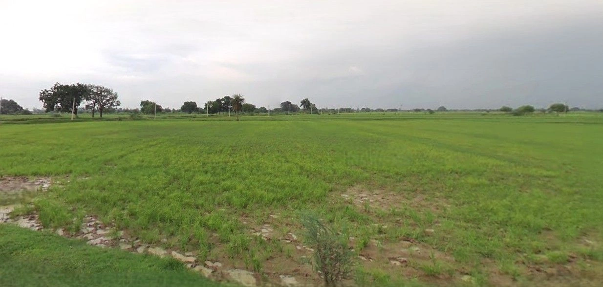 Railway Station Rd, Kalapipal Mandi, Madhya Pradesh 465337, India