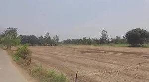 Raghunathpur, West Bengal 723133, India preview 3