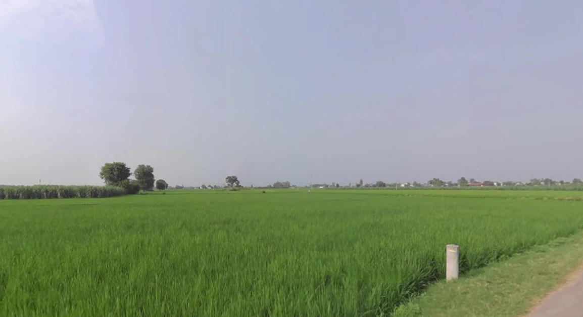 Bareti, Himachal Pradesh 177042, India