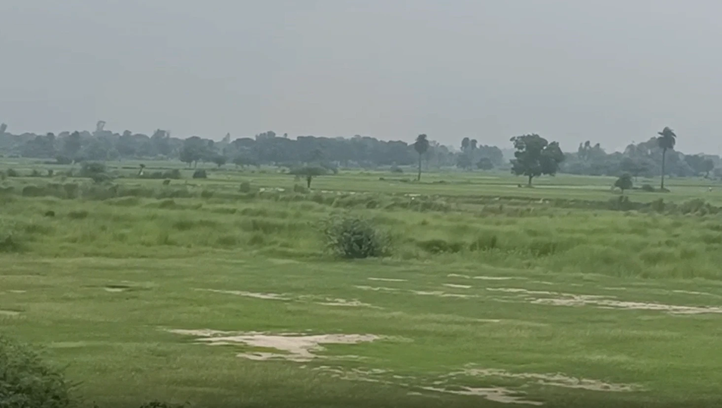 Chhibramau, Kannauj, Uttar Pradesh 209721, India